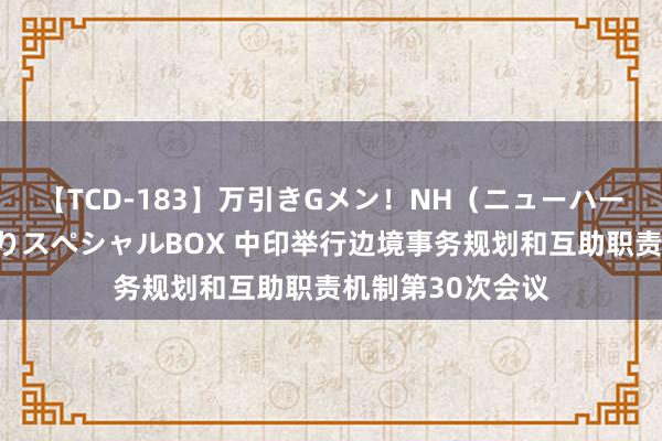 【TCD-183】万引きGメン！NH（ニューハーフ）ペニクリ狩りスペシャルBOX 中印举行边境事务规划和互助职责机制第30次会议