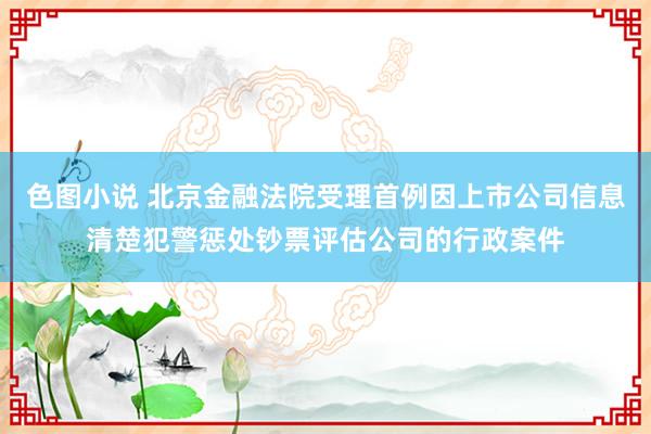 色图小说 北京金融法院受理首例因上市公司信息清楚犯警惩处钞票评估公司的行政案件