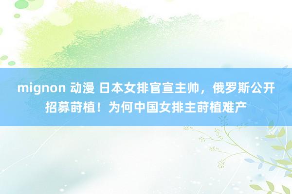 mignon 动漫 日本女排官宣主帅，俄罗斯公开招募莳植！为何中国女排主莳植难产