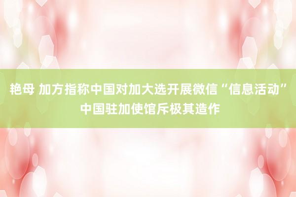 艳母 加方指称中国对加大选开展微信“信息活动” 中国驻加使馆斥极其造作