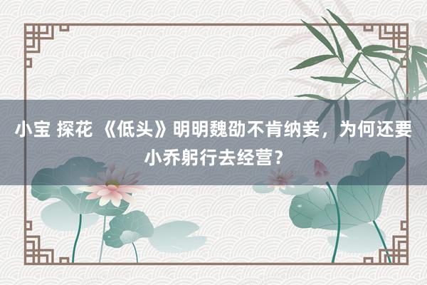小宝 探花 《低头》明明魏劭不肯纳妾，为何还要小乔躬行去经营？
