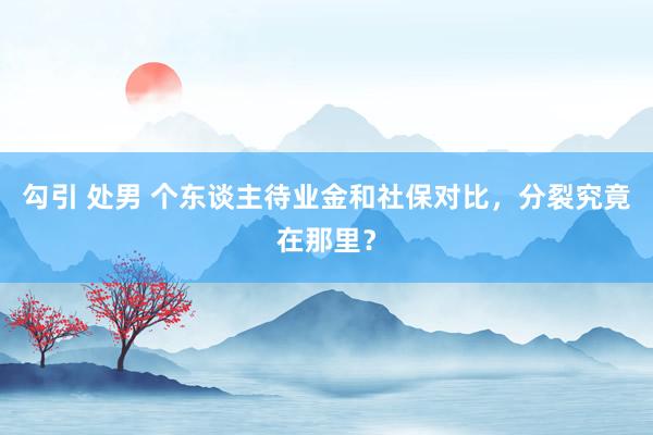 勾引 处男 个东谈主待业金和社保对比，分裂究竟在那里？