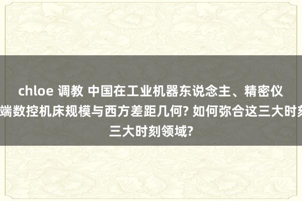 chloe 调教 中国在工业机器东说念主、精密仪器和高端数控机床规模与西方差距几何? 如何弥合这三大时刻领域?