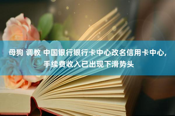 母狗 调教 中国银行银行卡中心改名信用卡中心， 手续费收入已出现下滑势头