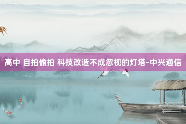 高中 自拍偷拍 科技改造不成忽视的灯塔-中兴通信