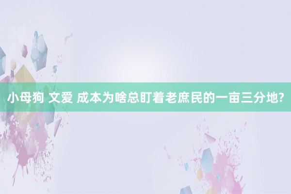 小母狗 文爱 成本为啥总盯着老庶民的一亩三分地?