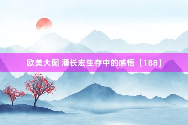 欧美大图 潘长宏生存中的感悟【188】
