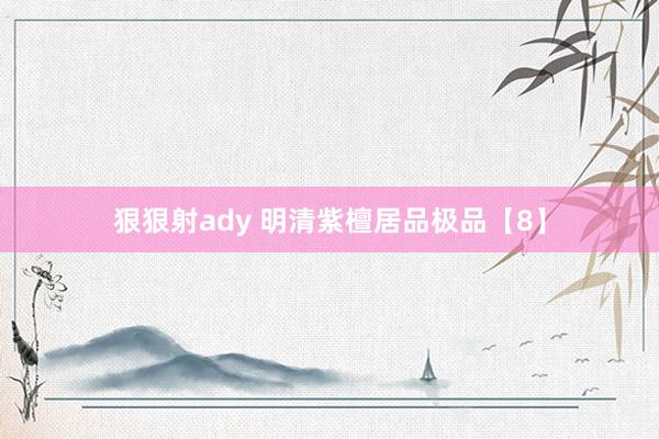 狠狠射ady 明清紫檀居品极品【8】