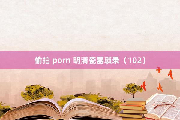 偷拍 porn 明清瓷器琐录（102）